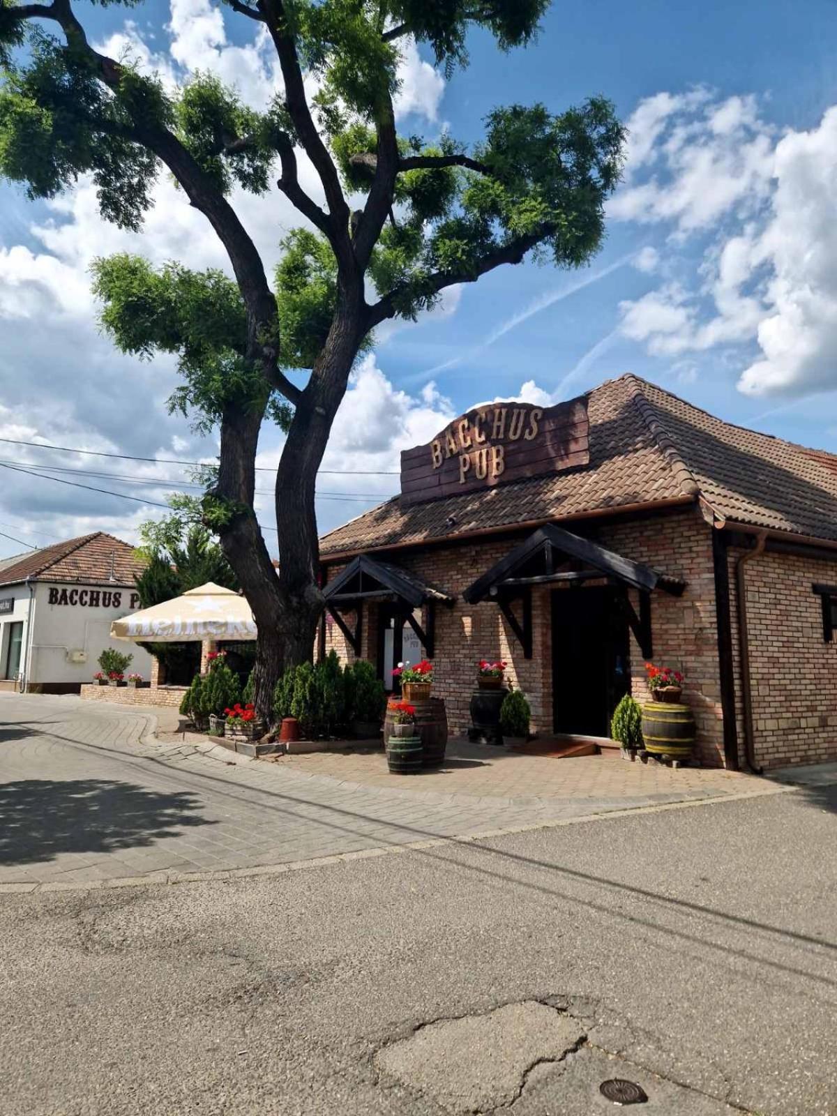 Bacchus Pub Es Panzio Bed & Breakfast Dunaharaszti Luaran gambar
